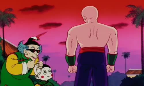 Dragon Ball -  S01E95 mkv