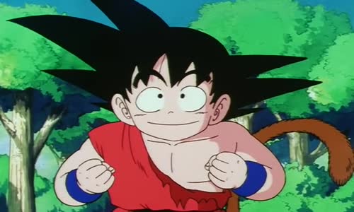 Dragon Ball - S01E128 mkv