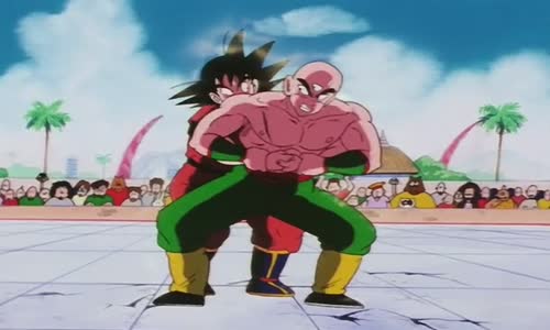 Dragon Ball - S01E140 mkv