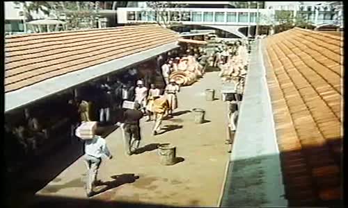 OBKLICENI-SLONY---BRITSKY-FILM-(196 9) avi