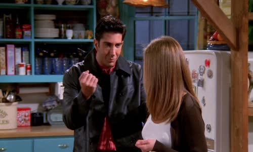 Priatelia Friends S04E19 The One with All the Haste SK CZ EN mkv