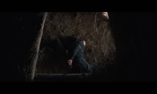 Forst S01E02 (2024) 1080p mkv