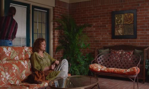 Leaves of Grass 2009 LIMITED 480p BRRip XviD AC3-ViSiON mp4