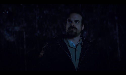 Stranger Things S02E03 - Kapitola třetí - Pulec CZ avi