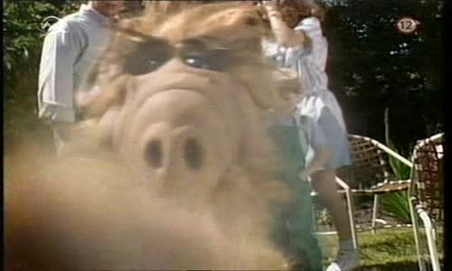 ALF-S02E10---Nieco-sa-so-mnou-deje avi