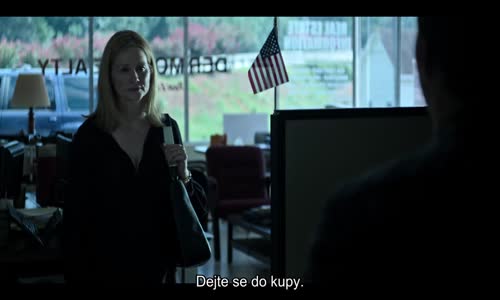 Ozark_S01E02_Modrá kočka avi