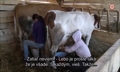 Farma s09e27 x265 mp4