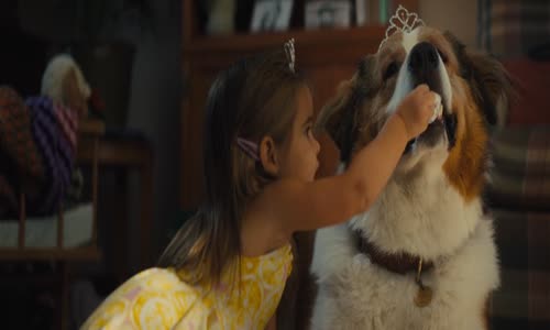 Psí poslání 2 (A Dog's Journey, 2019) mkv