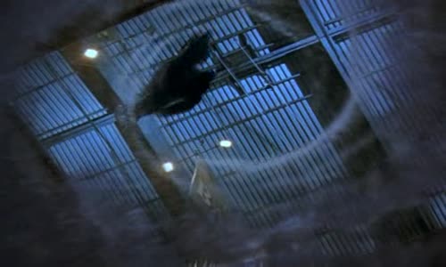 Jackie Chan - Krotitele upiru (The Twins Effect 2003) Cz avi