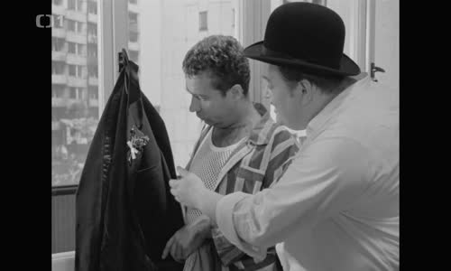 Svatební cesta aneb Ještě ne Evžene! (1966) (1080p) mp4