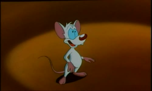 Pinky And The Brain - S1E1 - Das Mouse avi