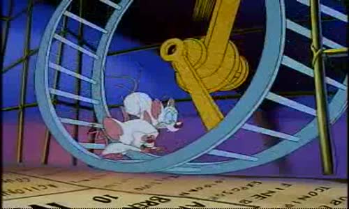 Pinky And The Brain - S1E11 - Napoleon Brainaparte avi