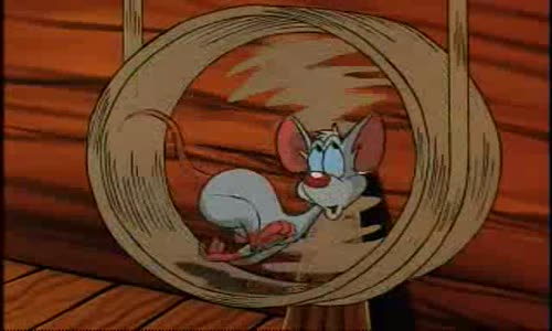 Pinky And The Brain - S1E14 - Around the World in 80 Narfs avi