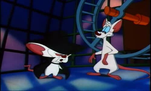 Pinky And The Brain - S1E6 E7 E8 - Pinky And The Fog, Where No Mouse Has Gone Before, Cheese Roll Call avi