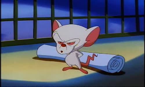 Pinky And The Brain - S1E9 - Brainania avi