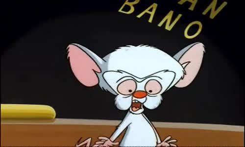 Pinky And The Brain - S2E1 - It's Only a Paper World avi