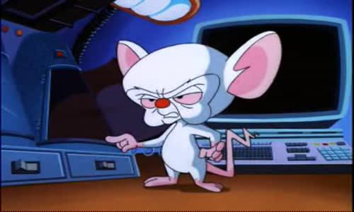 Pinky And The Brain - S2E15 - Brinky avi