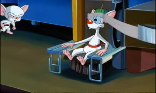 Pinky And The Brain - S2E8 - Brain's Song avi