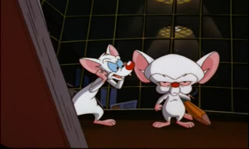 Pinky And The Brain - S3E12 - Brain Storm avi