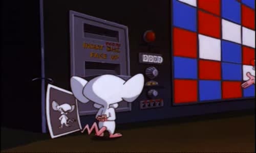 Pinky And The Brain - S3E19 E20 - Pinky And The Brainmaker, Calvin Brain avi