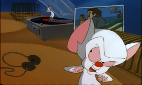 Pinky And The Brain - S3E23 - The Real Life avi