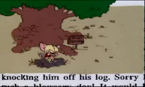 Pinky And The Brain - S3E37 E38 - The Megalomaniacal Adventures Of Brainie The Poo - The Melancholy Brain avi