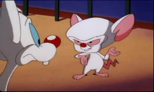 Pinky And The Brain - S3E40 E41 - Brain's Night Off - Beach Blanket Brain avi