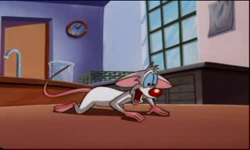 Pinky And The Brain - S3E42 - The Family That Poits Together, Narfs Together avi