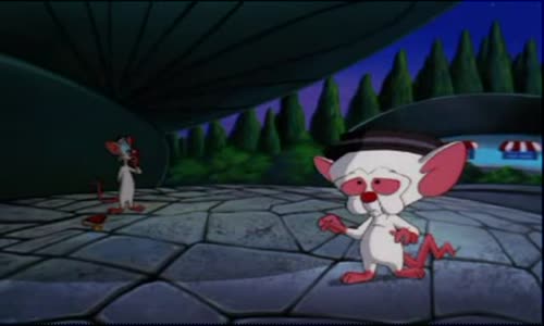 Pinky And The Brain - S4E2 - Brainwashed(2) I Am Not a Hat avi