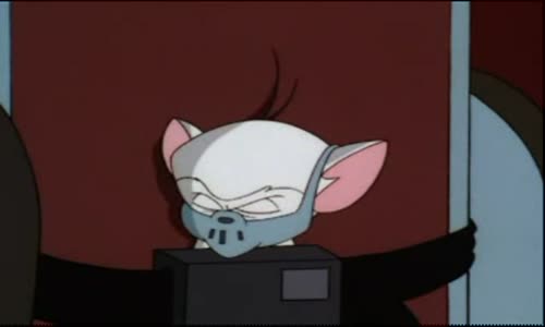 Pinky And The Brain - S4E3 - Brainwashed(3) Wash Harder avi