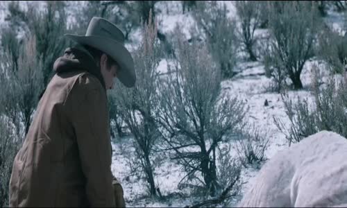 Wind River (2017) AC3 CZ dab mkv