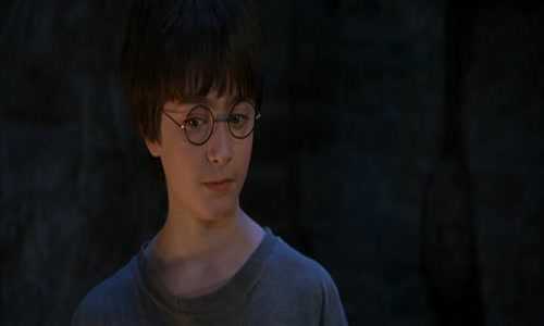 Harry Potter 1 a Kamen mudrcu (2001) Cz avi