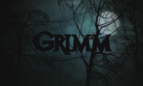 Grimm S01E05 Krysař CZdab mkv