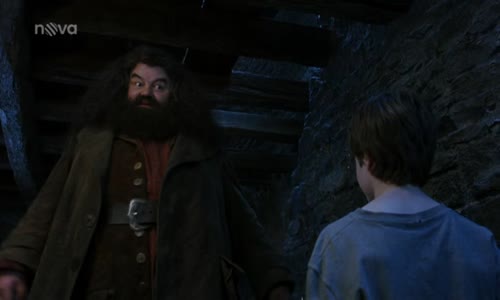 1 Harry Potter a kámen mudrců mkv