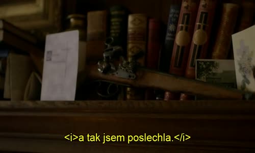 Cizinka--02x13-tit avi