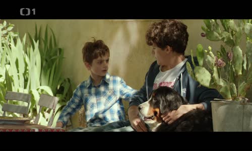 Moje léto v Provence (2013) CS (1080p) mp4