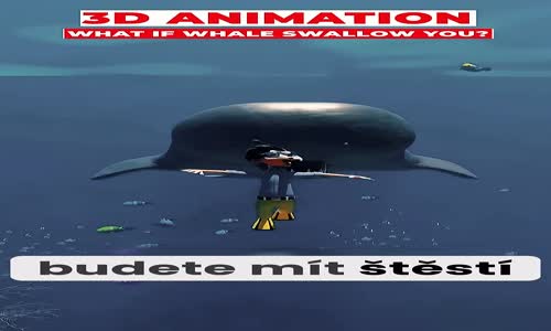 Co Se Stane Když Vás Sní Velryba! #shorts #fakta #animace mp4