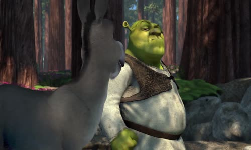 Shrek I avi