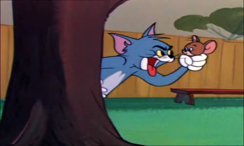 Tom a Jerry - Najvacsie nahanacky avi