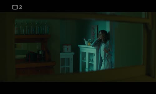 Podezřelý (2018) thriller CZ dabing mkv