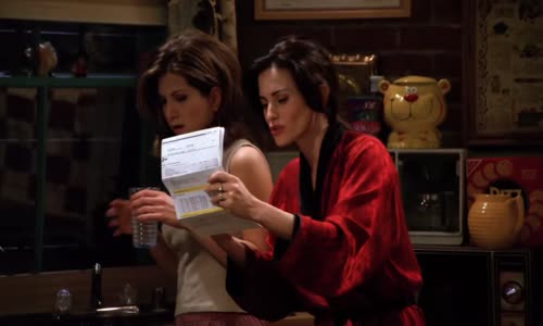 Friends - Přátelé S01E21 The One With the Fake Monica mkv