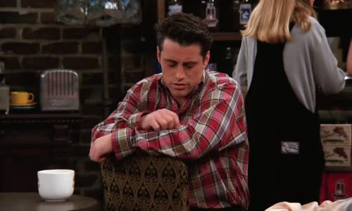 Friends - Přátelé S02E22 The One With Two Parties mkv