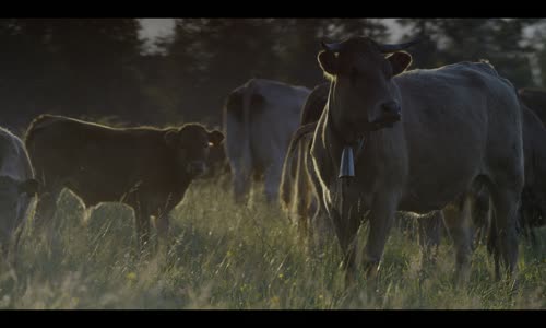 Šéfkuchařův stůl_S06E02_Dario Cecchini mkv