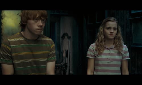 Harry Potter 5 a Fénixův řád (2007) 1080p h264 CZ,SK,EN mkv