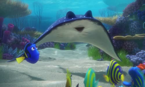 Hleda se Dory (2016) avi