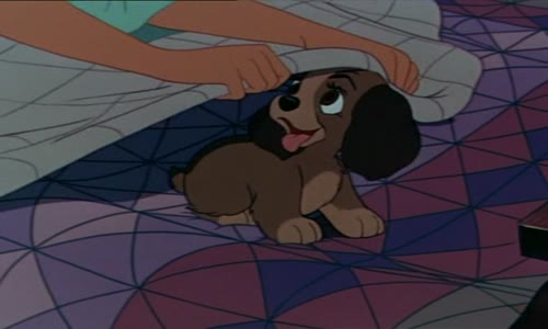 Lady a Tramp CZ 1955 avi