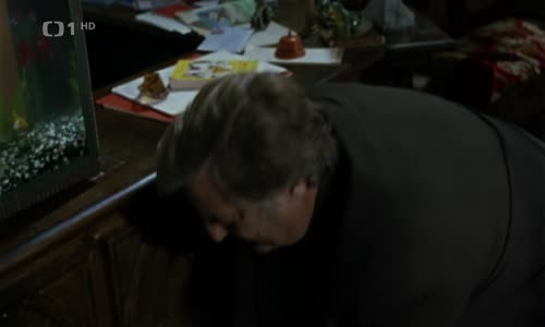 Maigret - Čekání na vraha -krim B Fr ŠVýc 1998 TVRip CZ mkv
