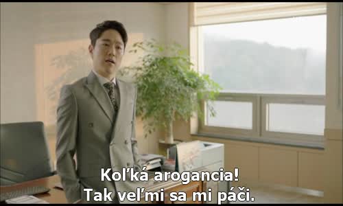 Descendants of the Sun E13 SKtitulky mp4