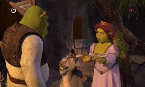 Shrek 2 - 2004 USA animovaný CZ dab mkv