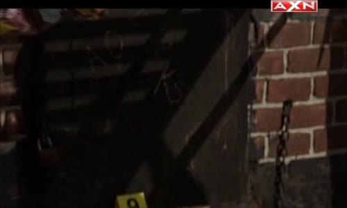 Vzpomínky S01E09 - Golden Bird (2011) krimi mysteriózní czdab mp4